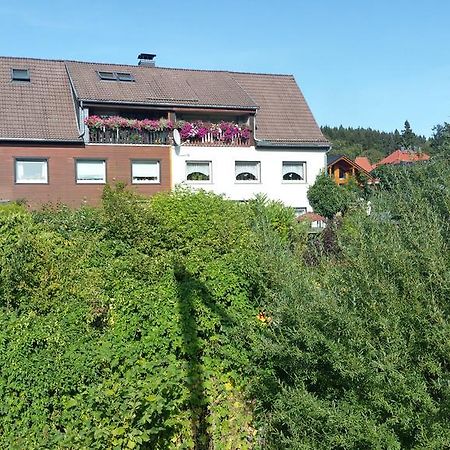 Apartment Bodeweg Schierke Bagian luar foto
