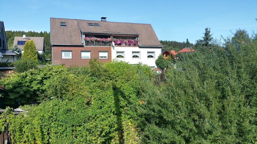 Apartment Bodeweg Schierke Bagian luar foto